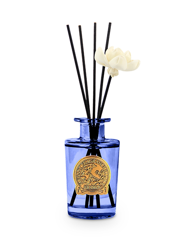 100ml Essential Oil Reed Diffuser